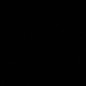 Meet your Posher, Jaylin